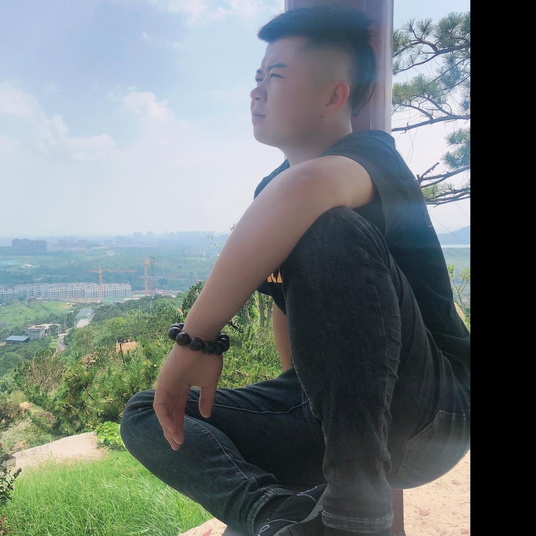 泰安旺家专业繁殖德牧比熊