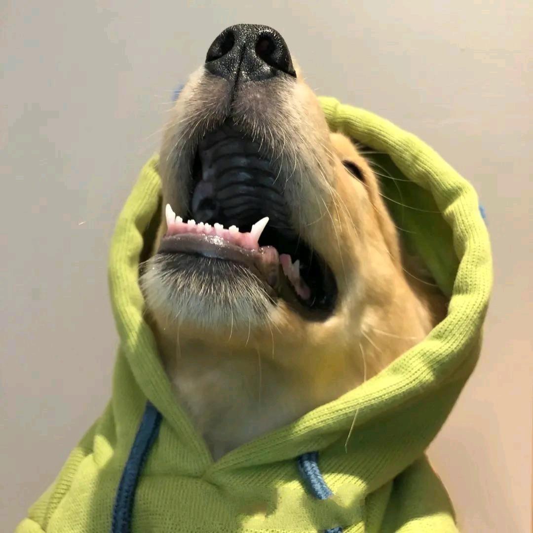 潘子在吗