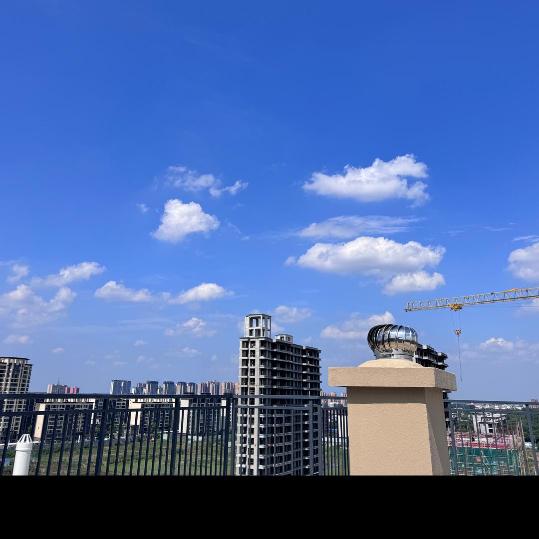 湖左岸小管家
