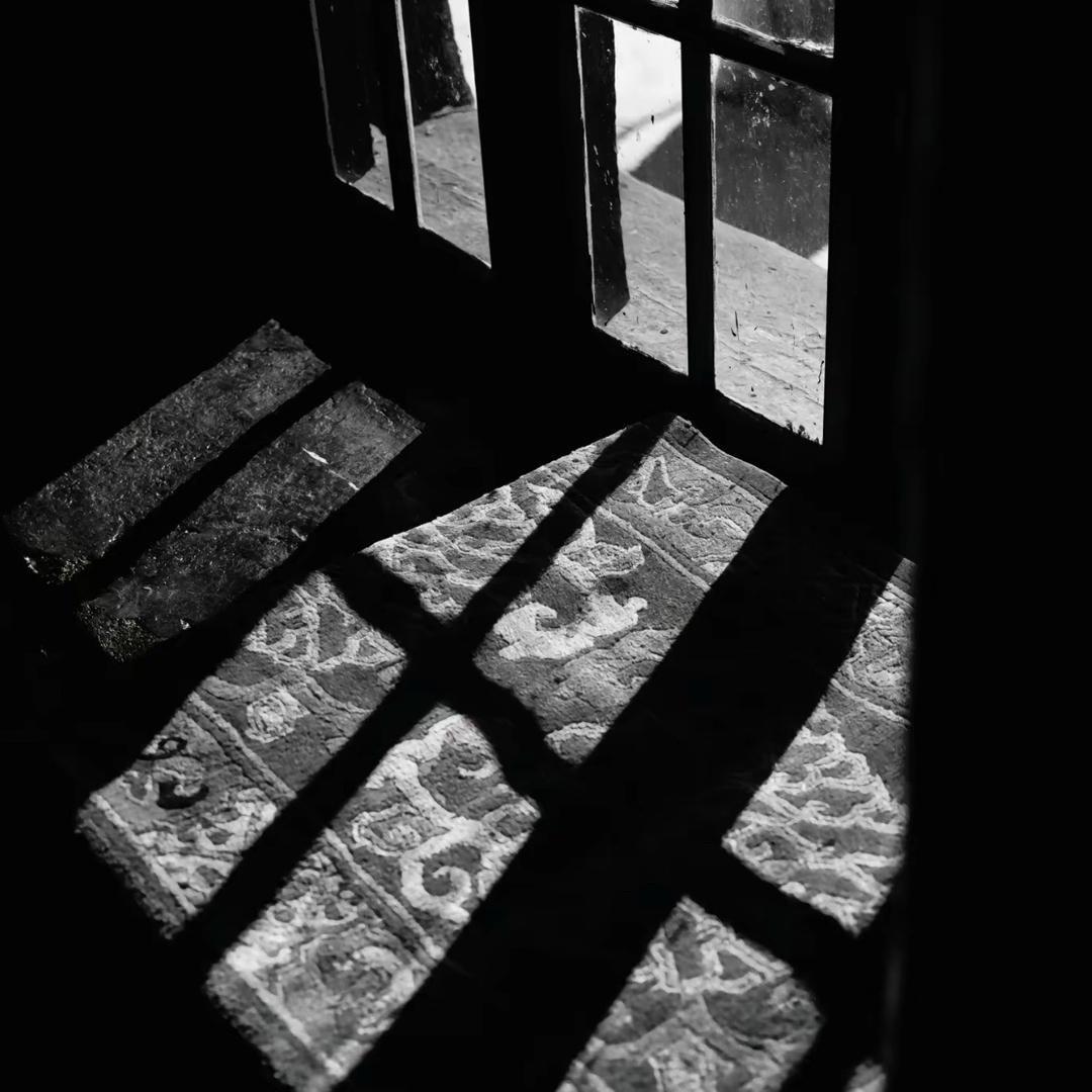 𝑻𝒔𝒓𝒊𝒏𝒈一TJ