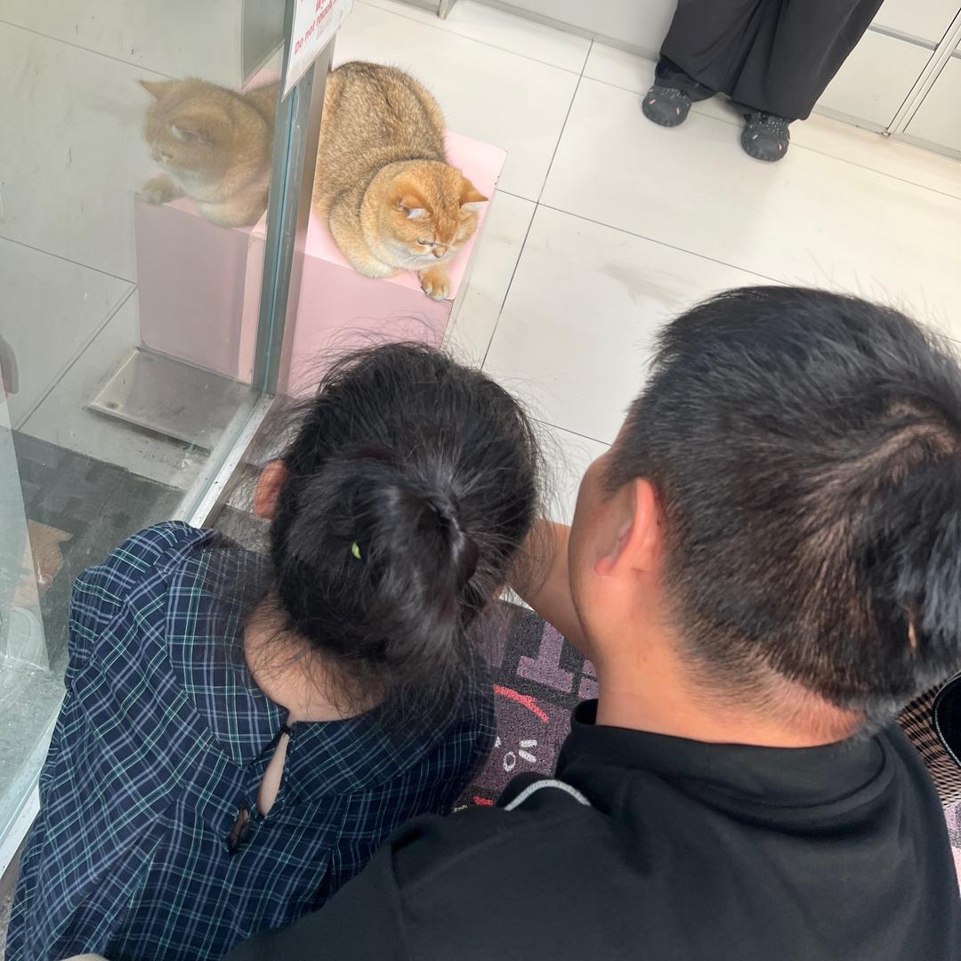 沈沈心•🌸