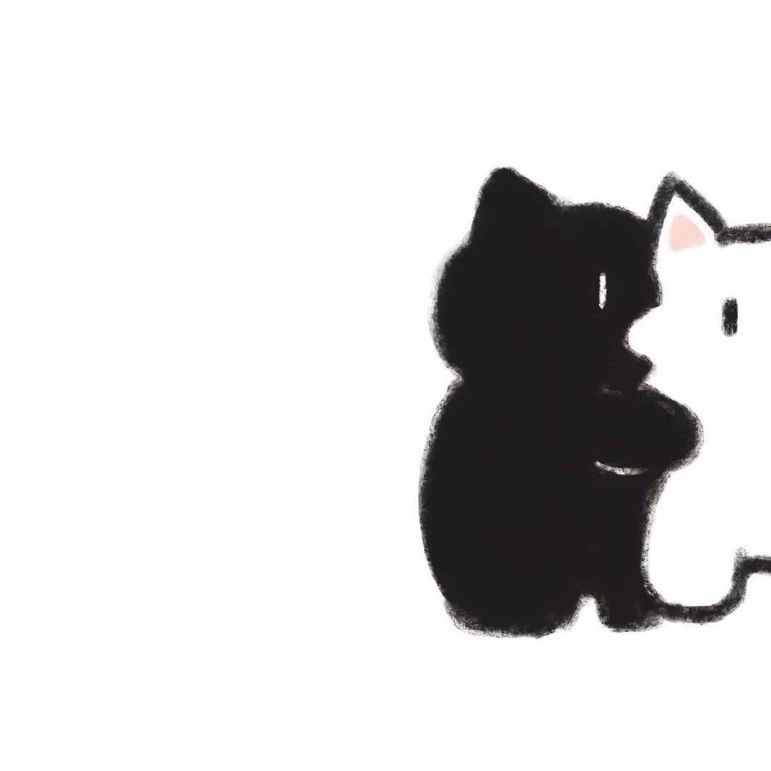 Black cat Sheriff