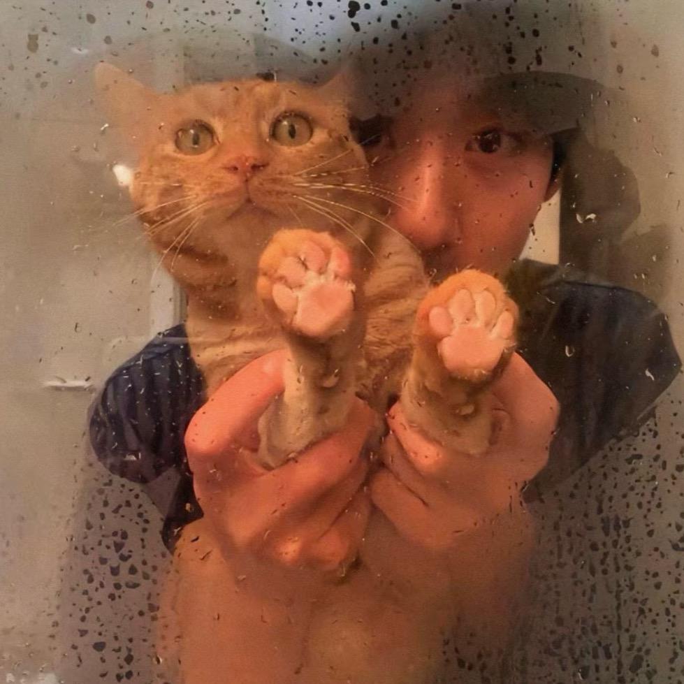莱加特