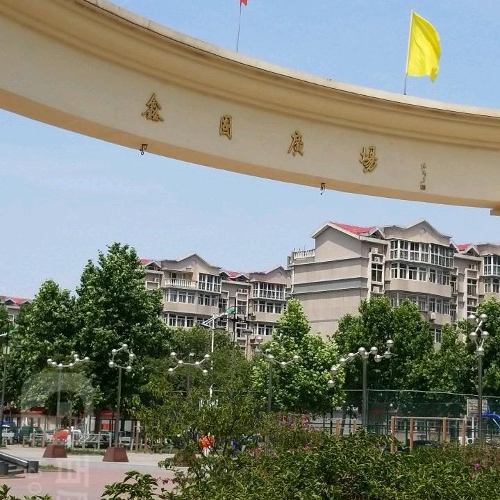 庄里小金子