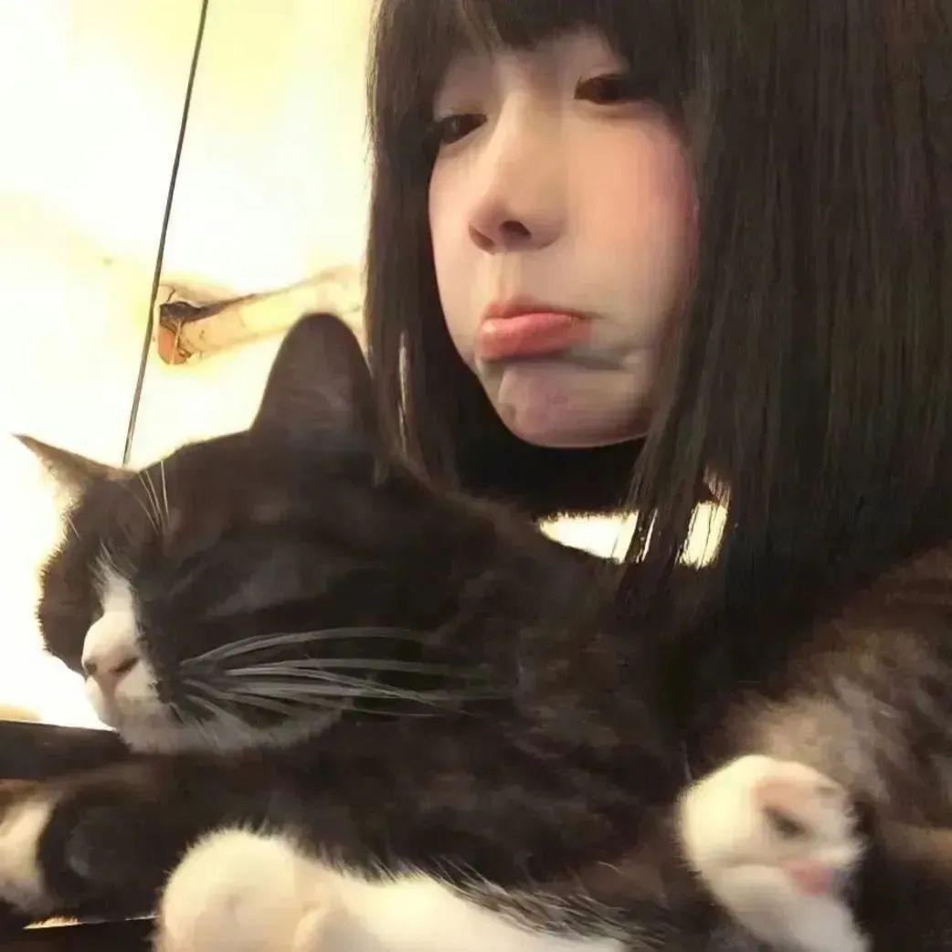 土豆丝.