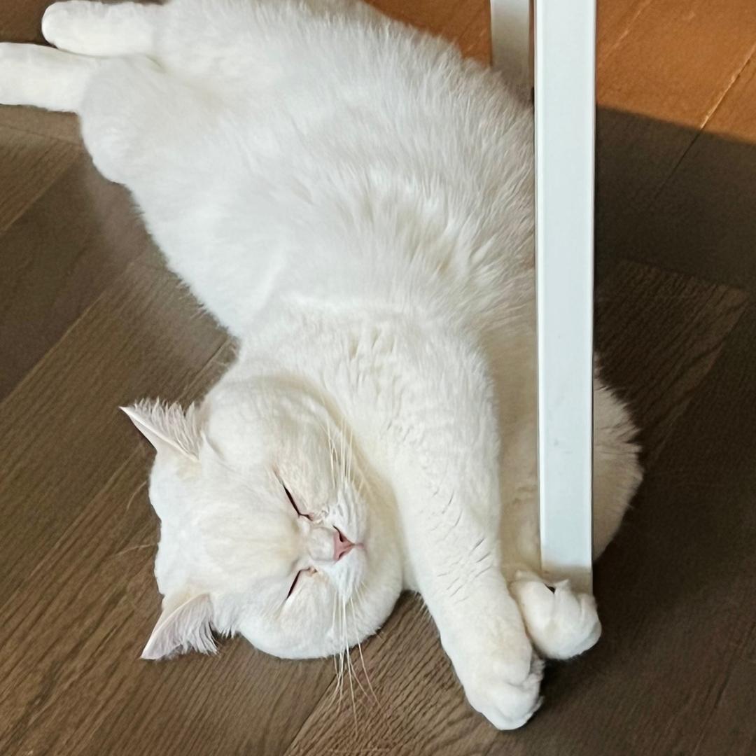 我四岁的时候