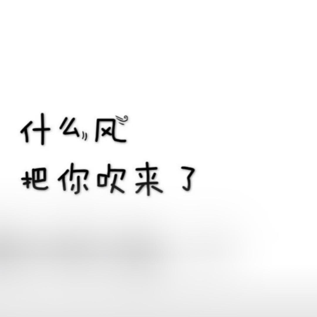 郑点钱儿