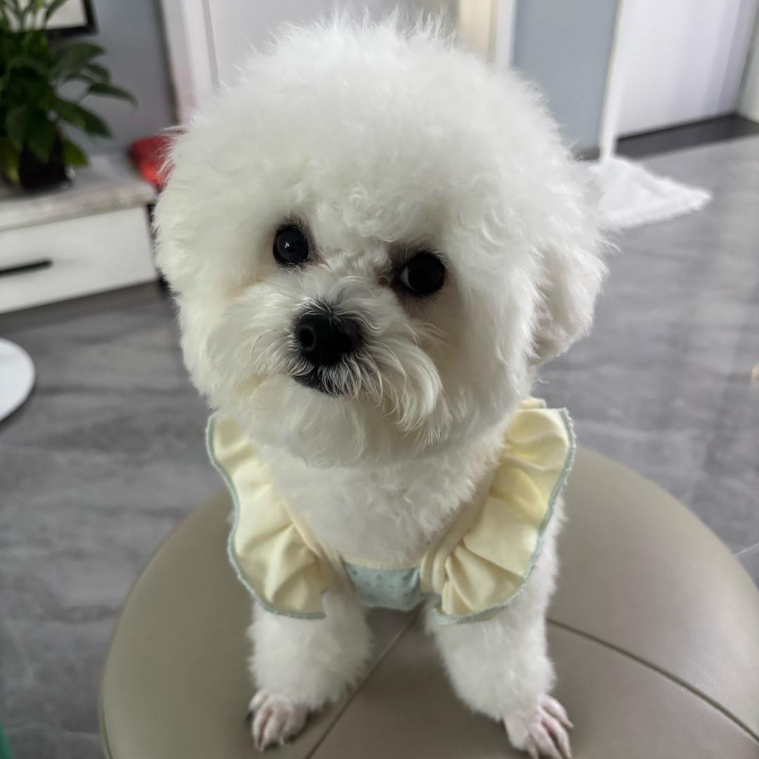 🌈ල᭄🥀到此为止💞ꦿ᭄🌈