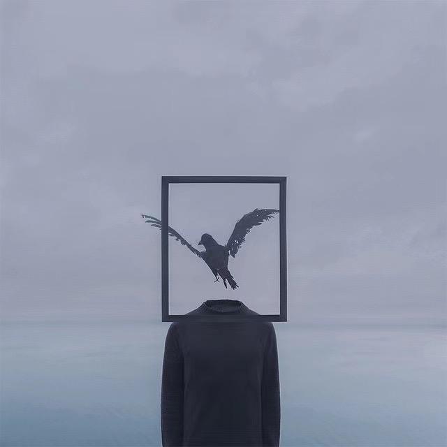 十一✨