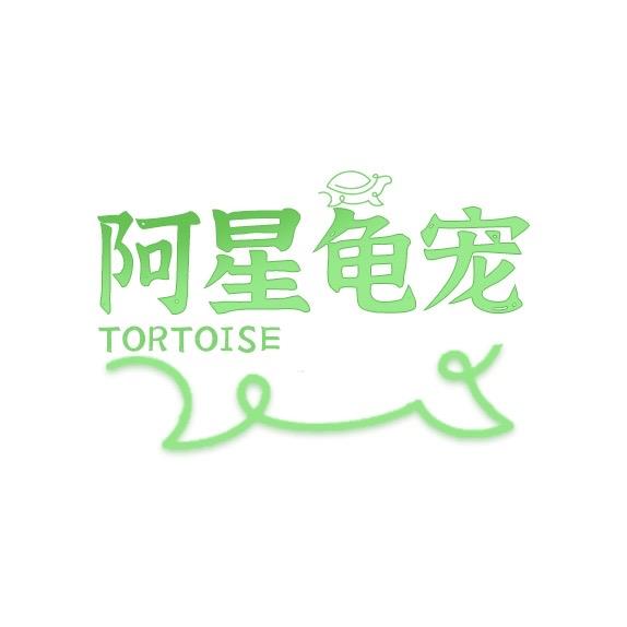 阿星龟宠