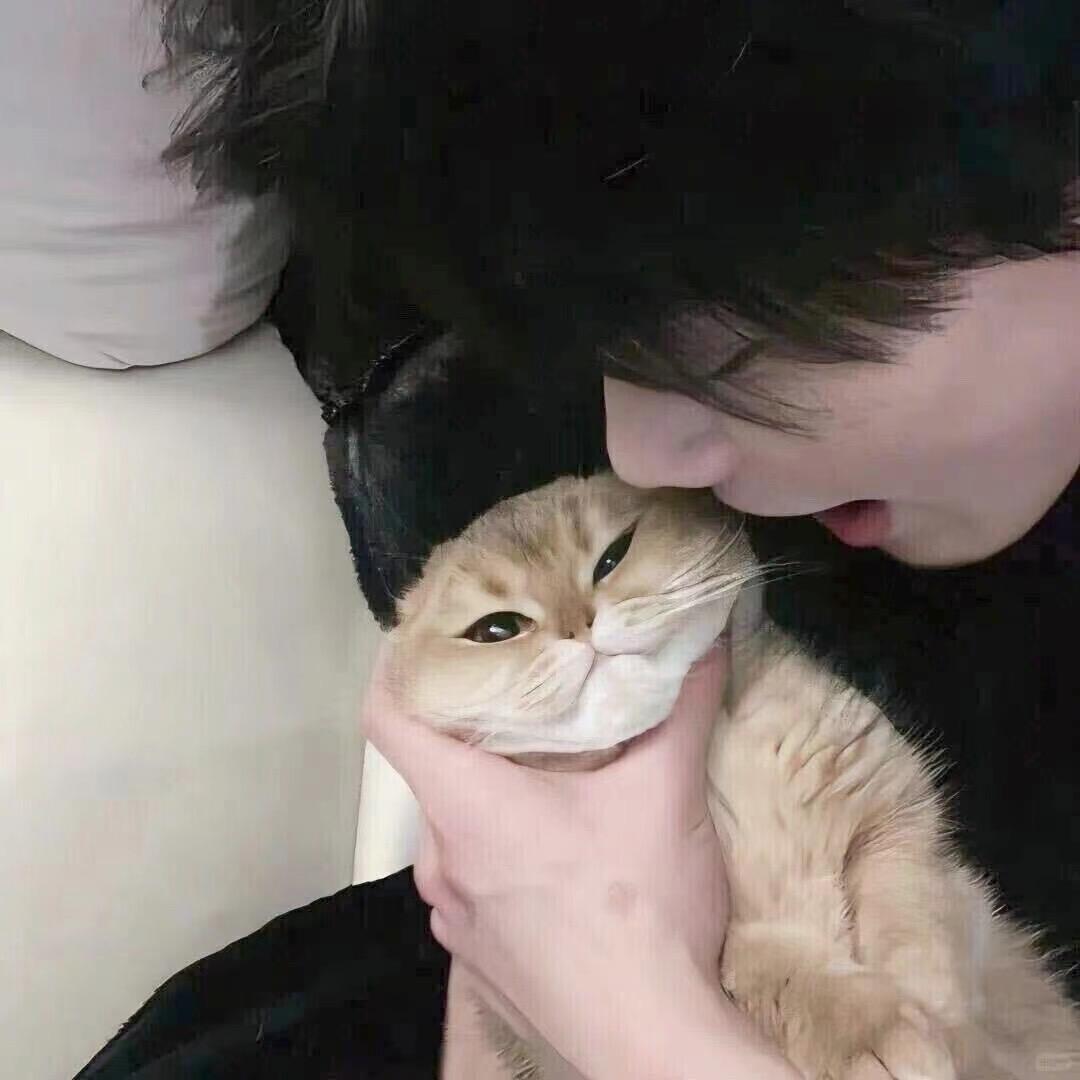 赴冬