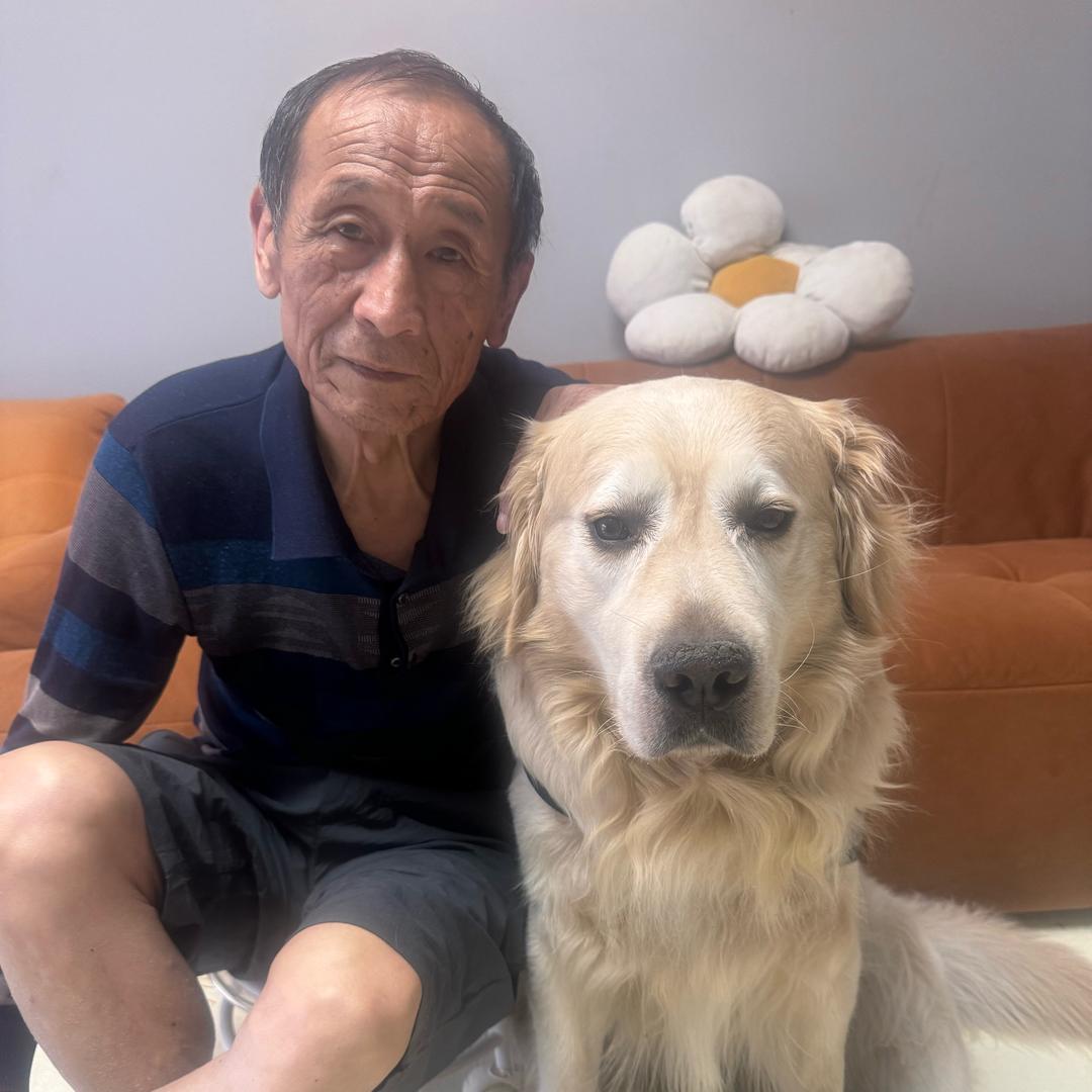 金毛笨笨
