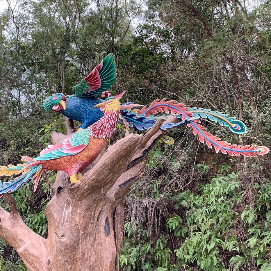 魚躍龍門