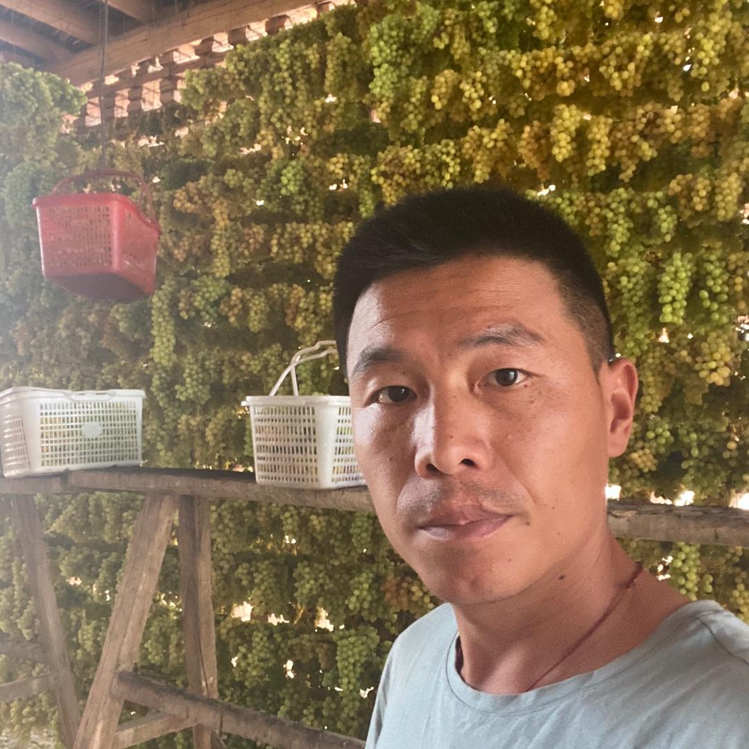 疆小彬的新疆特产