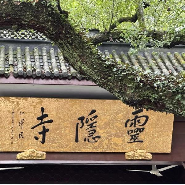 土鑫师傅