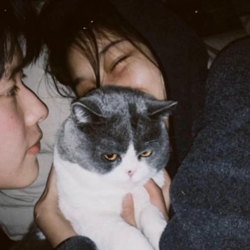 蛋蛋-