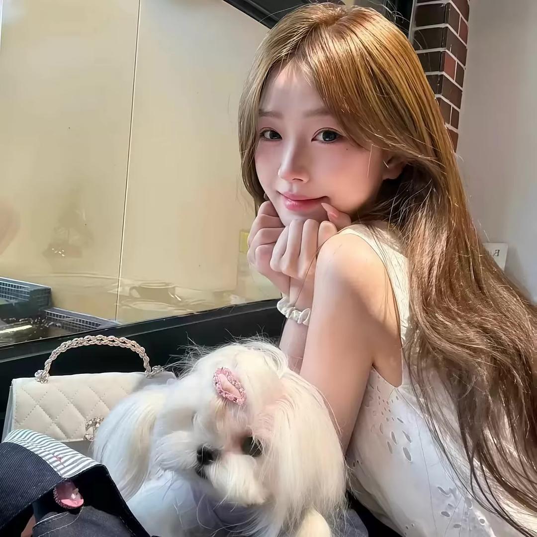 小美 🐷 