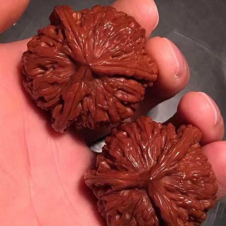核有缘