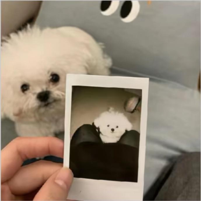 xx.