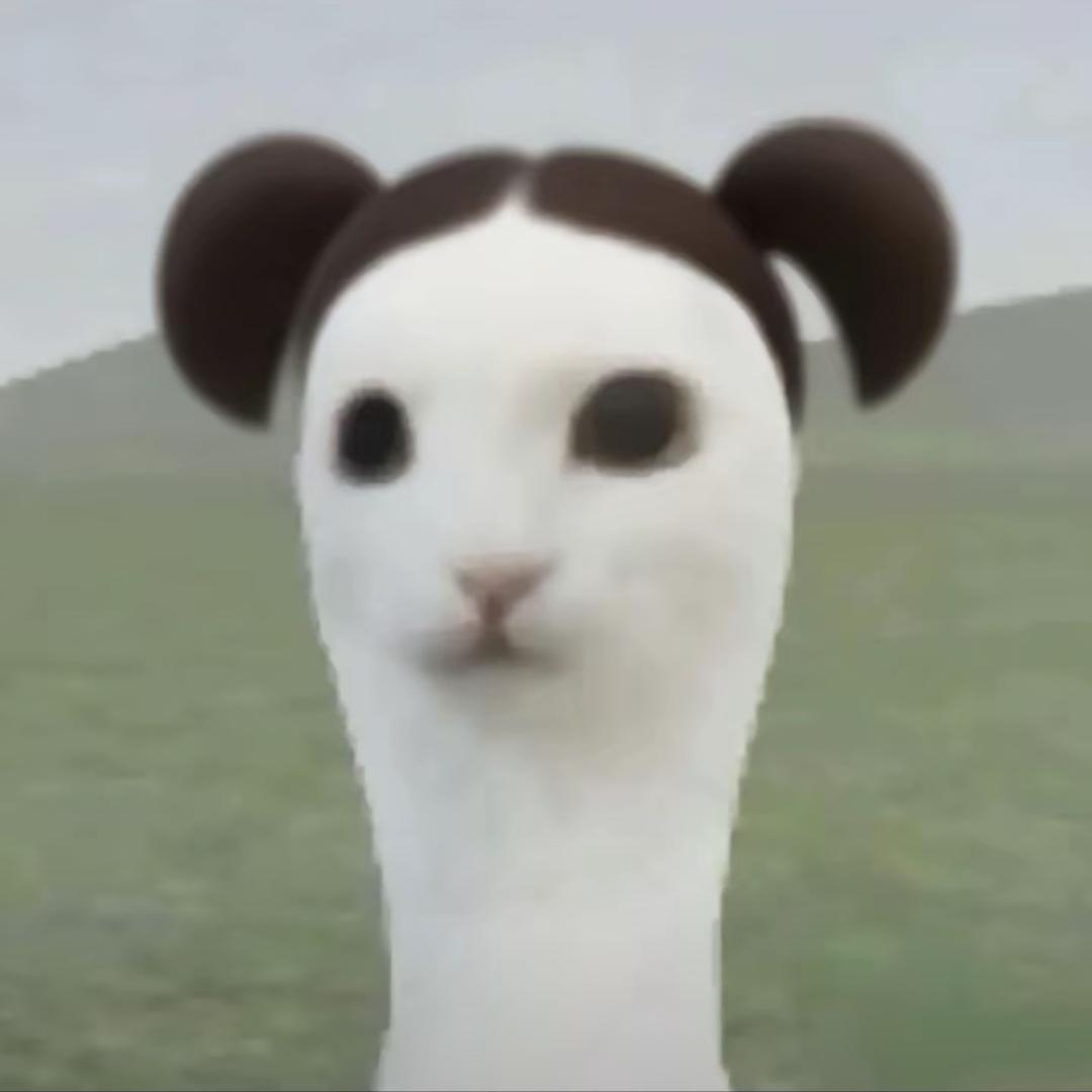 🐈‍⬛