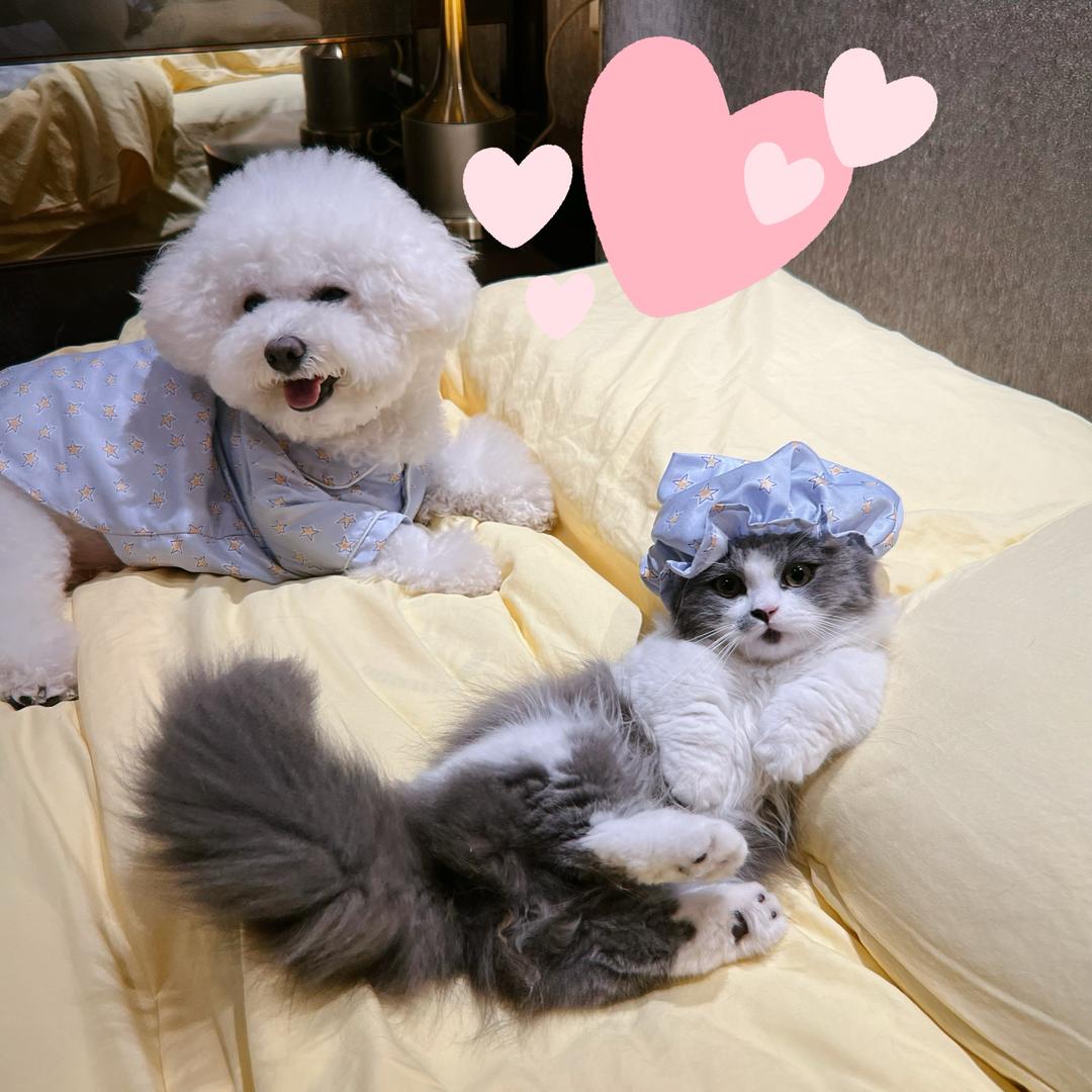 多啦的一家
