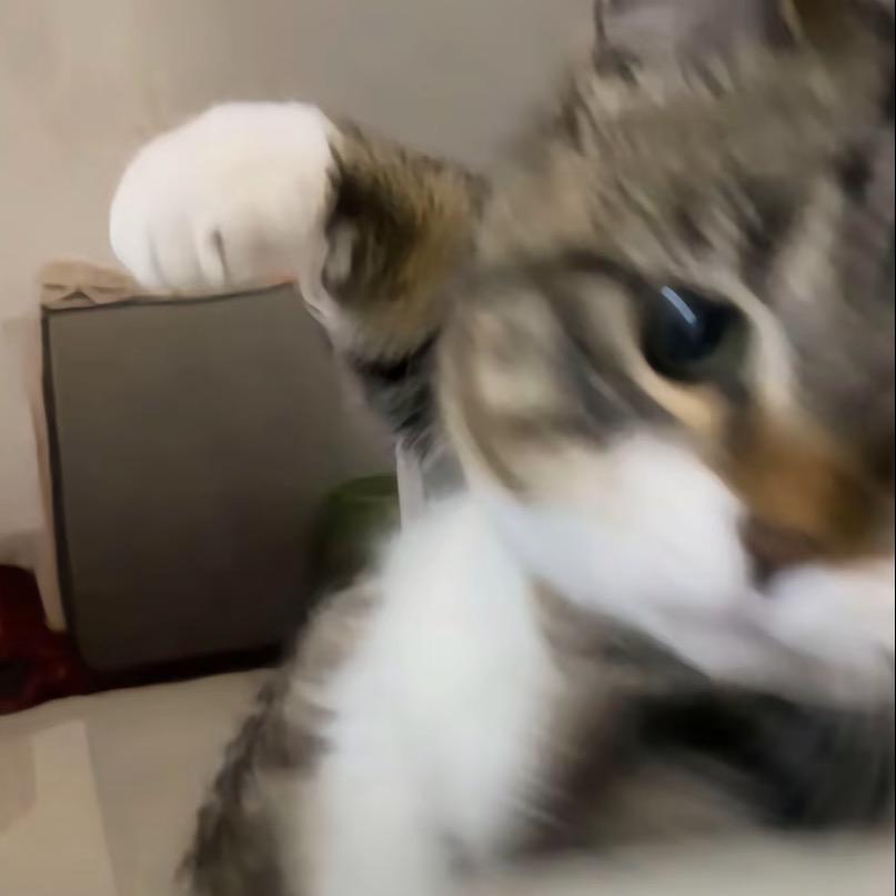 怎么又下雨