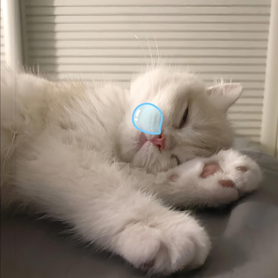 再睡五分钟 ㅤㅤㅤㅤㅤㅤㅤㅤ