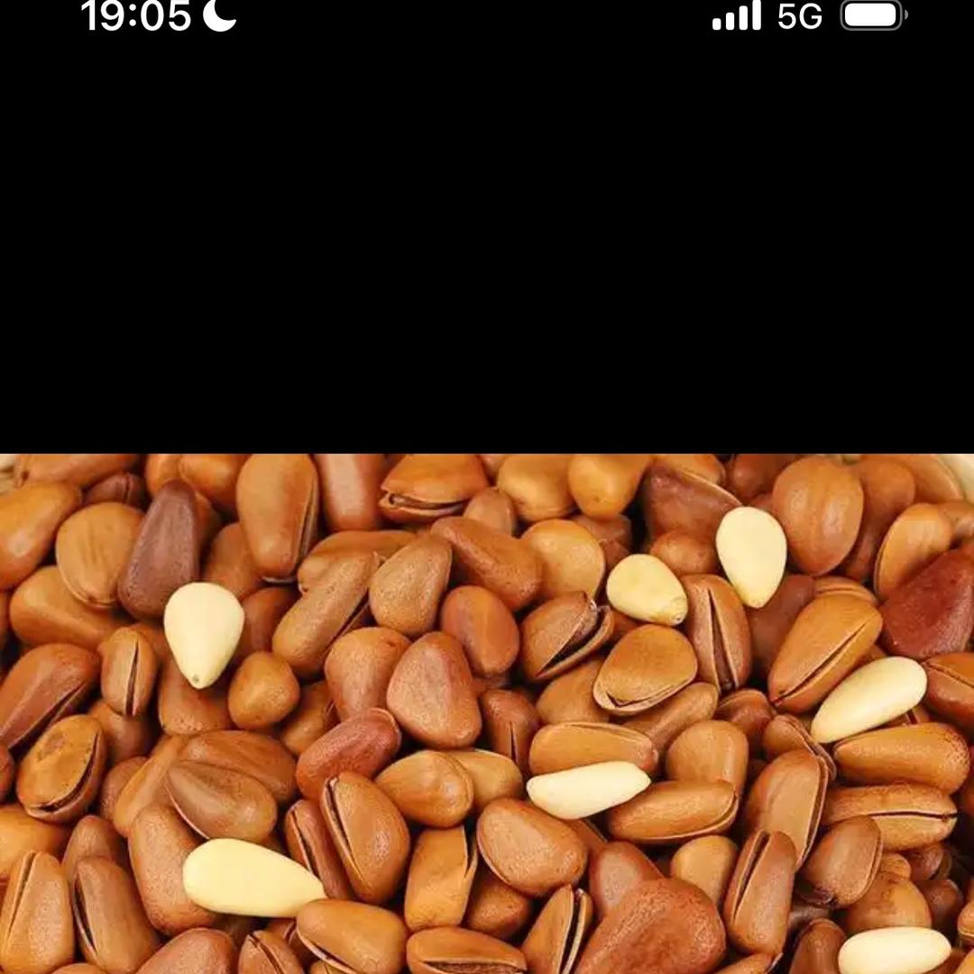 绾尔熊浩达专卖店