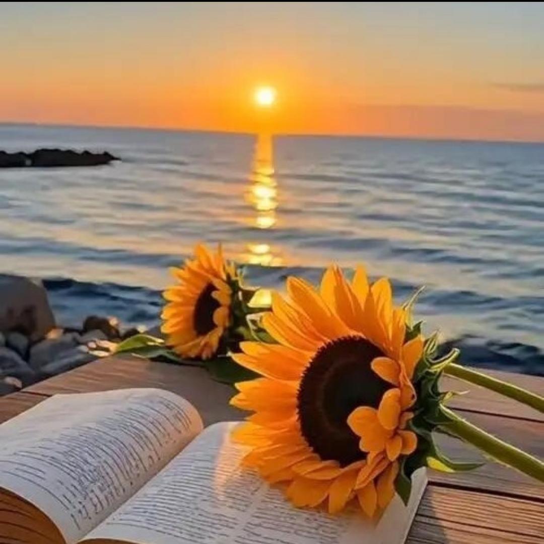 梦里有你宝贝🌻