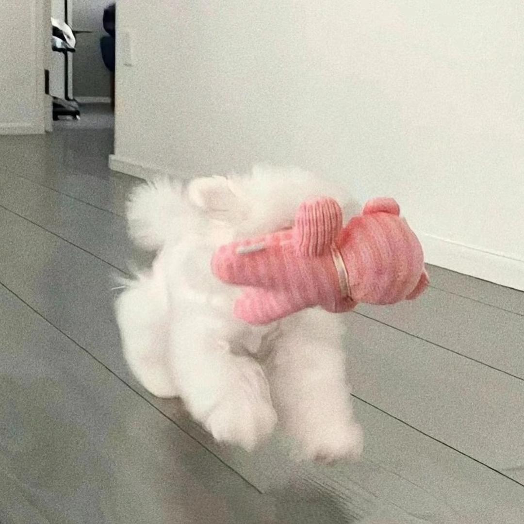 记得早睡Z☡zᶻ
