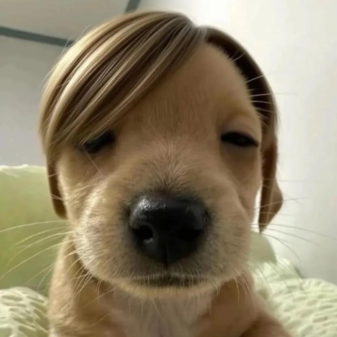 一拳打倒三头猪