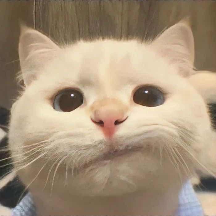 用户7499765341965