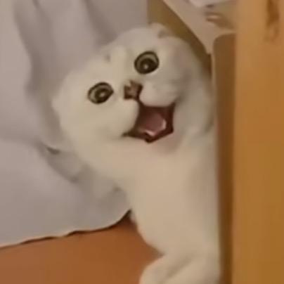 是只眠羊~