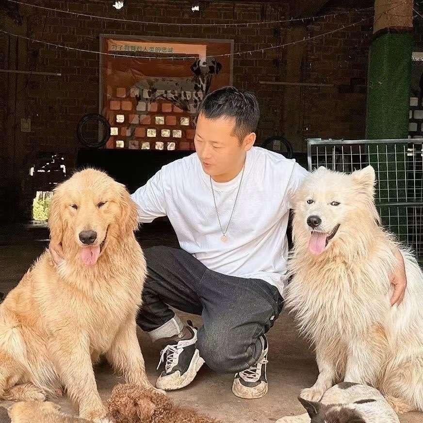 🏠流浪狗救助站