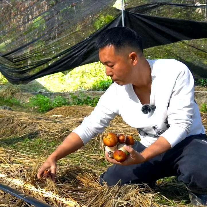 新三农人冯哥
