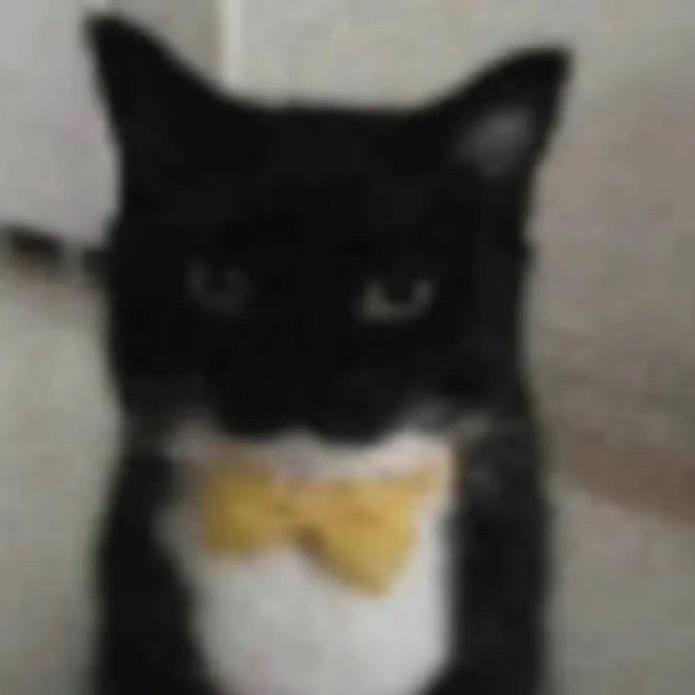 辰取（游戏版）