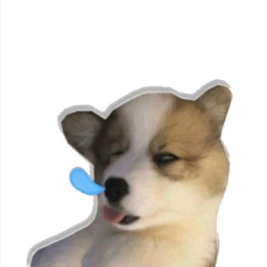你怎么了