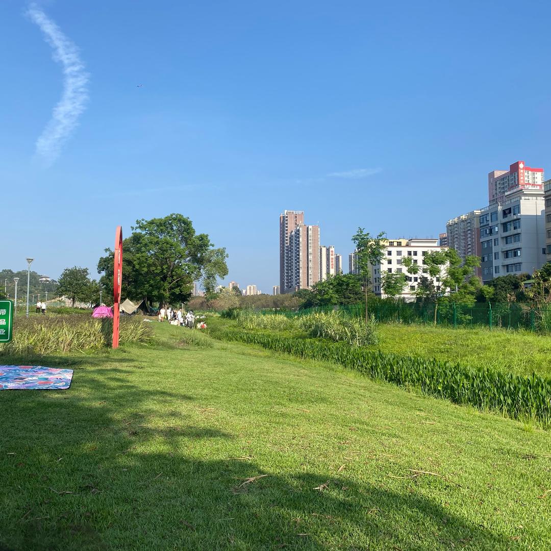 广东宝哥