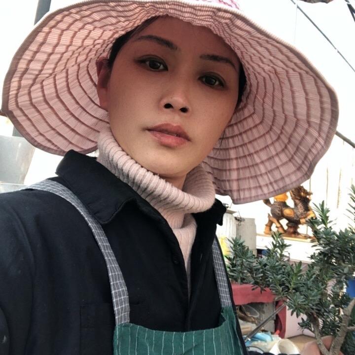 黄桥花木