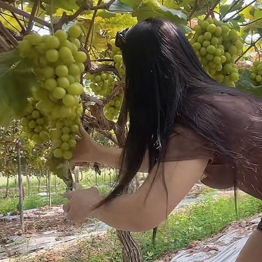 微微一笑