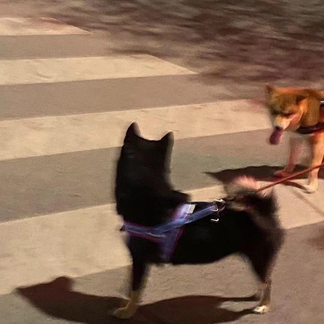 饿了就吃