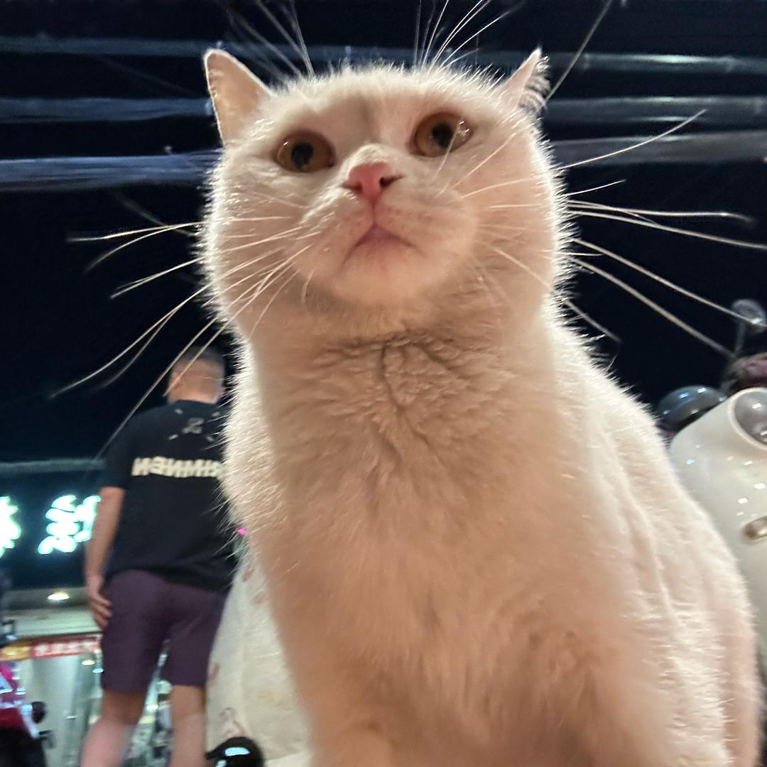 哈哈哈哈哈