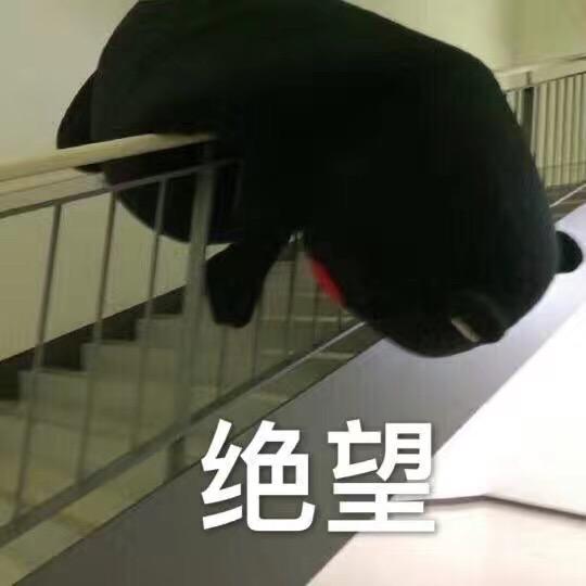 金水宝宝