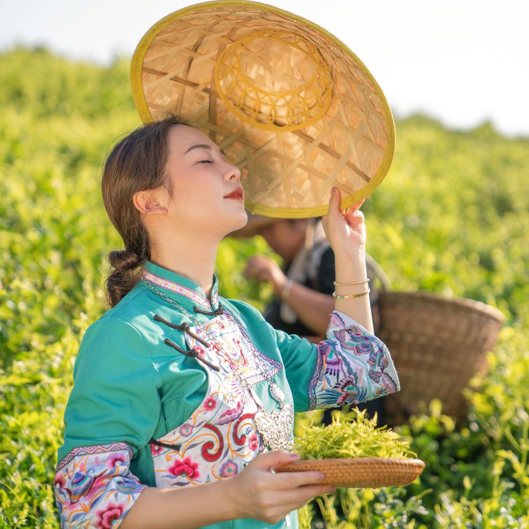 湘小丫の莓茶说