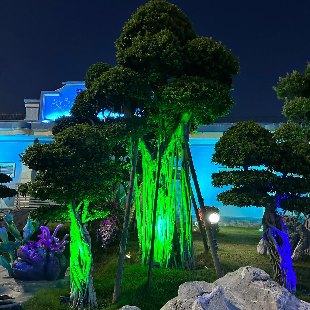 抱着鱼睡觉的猫