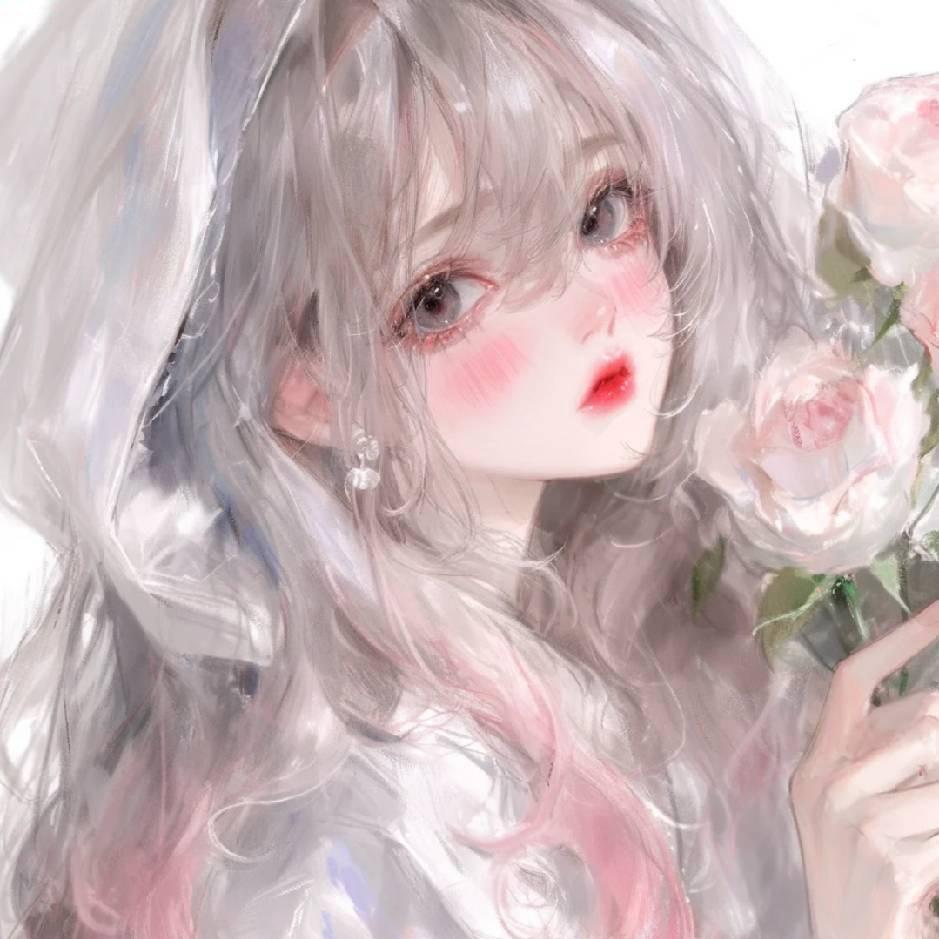 屿