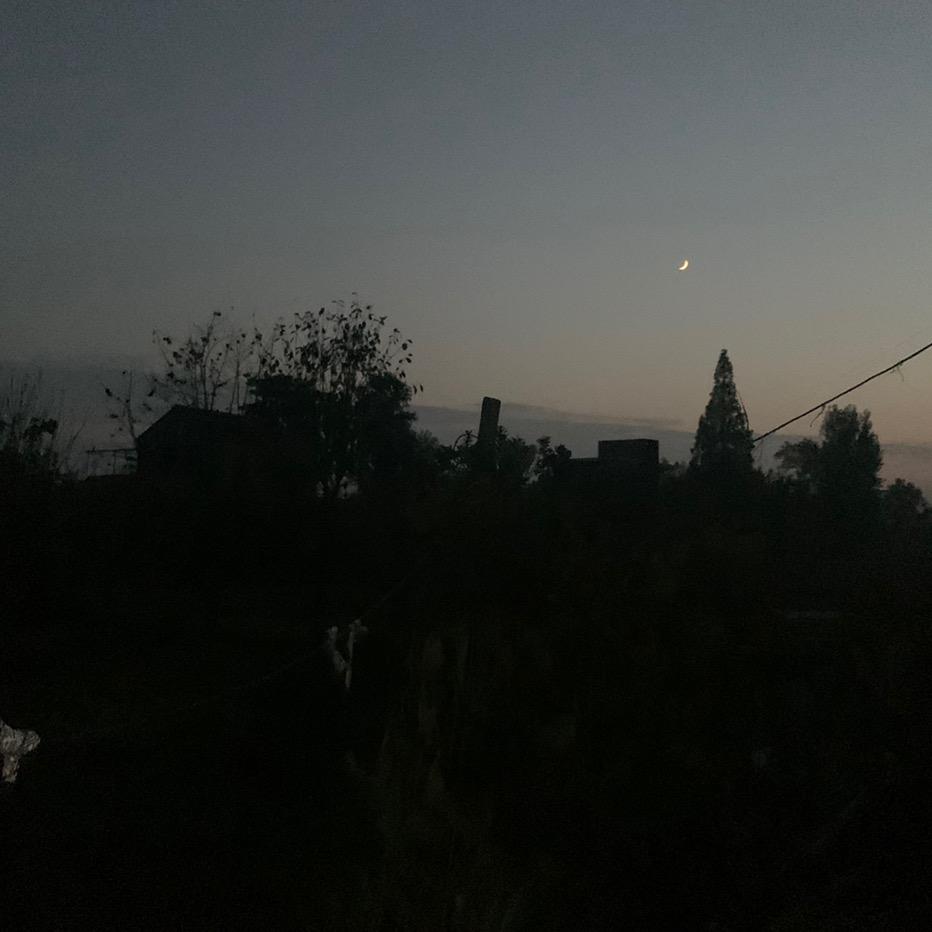 不爱吃南北