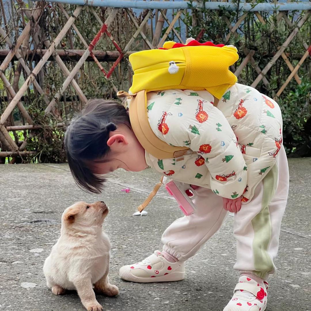 铁锤落落