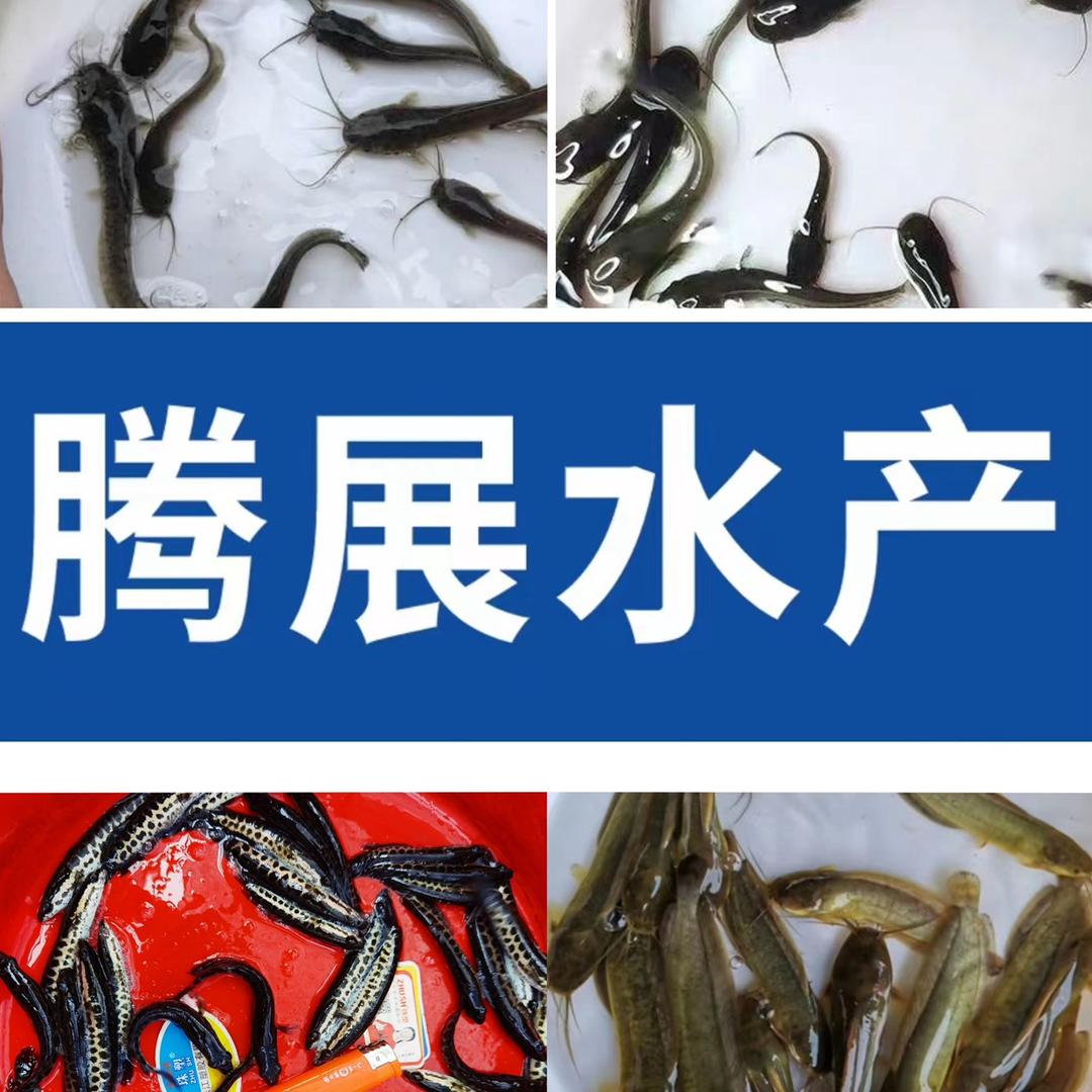 腾展水产养殖场