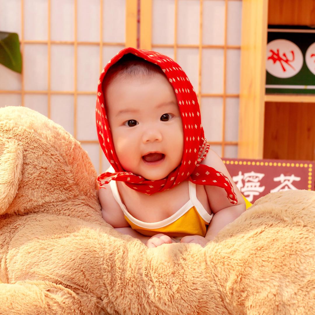 一只小胖妞